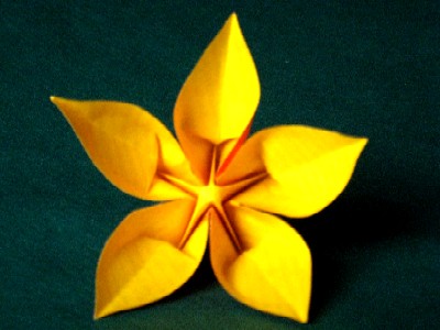 Fleur de Pantin Jaune