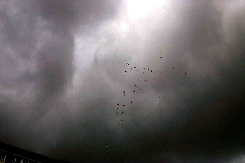 WAF_075B.jpg (56546 octets)