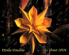 Vidéo ORIGAMI de la Fleur Etoile Double