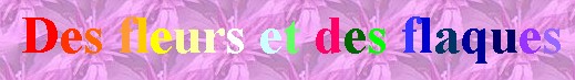 Des Fleurs et des Flaques