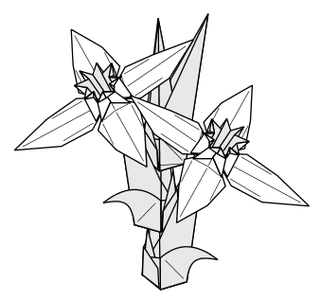 Edelweiss Croquis