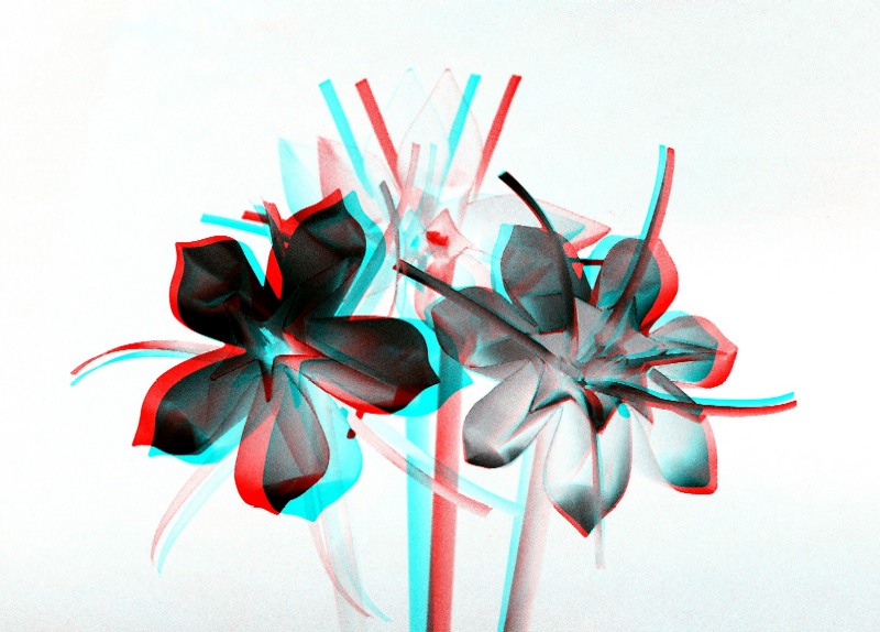 Anaglyphe Bouquet 3