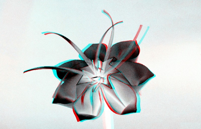 Anaglyphe Fleur Soleil