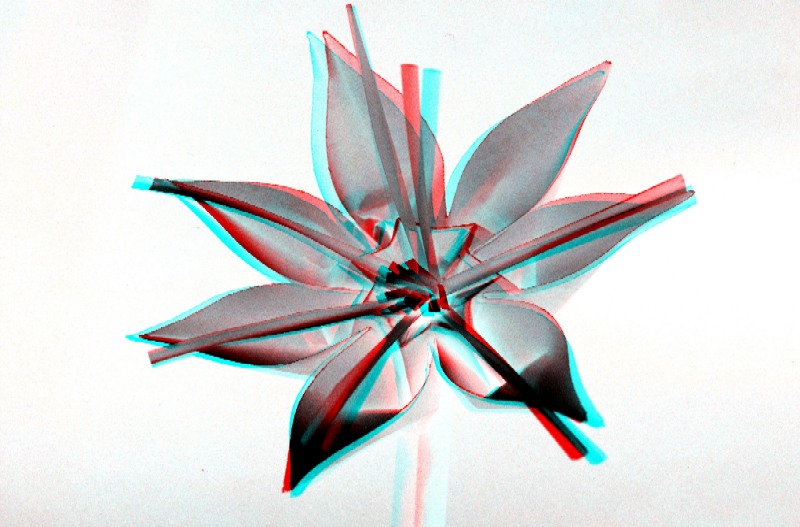 Anaglyphe Fleur de Callisto